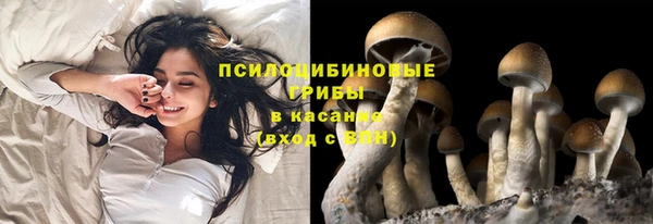 Альфа ПВП Волоколамск