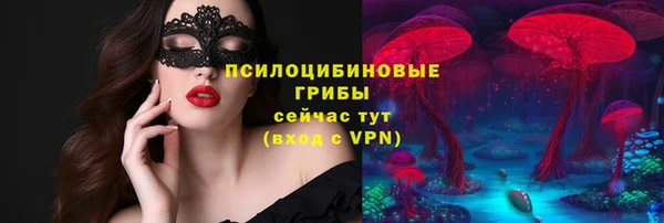 спиды Волосово