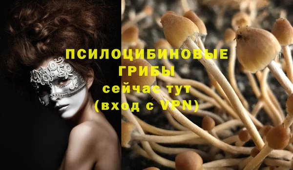 Альфа ПВП Волоколамск